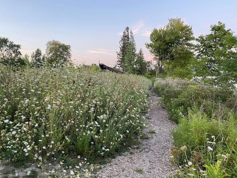 Beautiful Walk Out Basement Apartment In Pickering Near Beach Eksteriør bilde